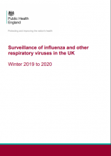 Surveillance of influenza and other respiratory viruses in the UK Winter 2019 to 2020